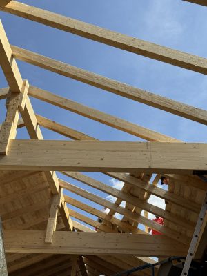 20250611_125500240_iOS